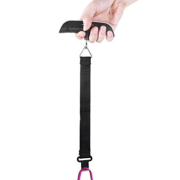 Hand Held Electronic Scale